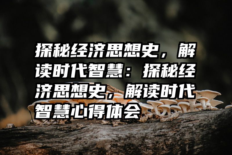 探秘经济思想史，解读时代智慧：探秘经济思想史，解读时代智慧心得体会