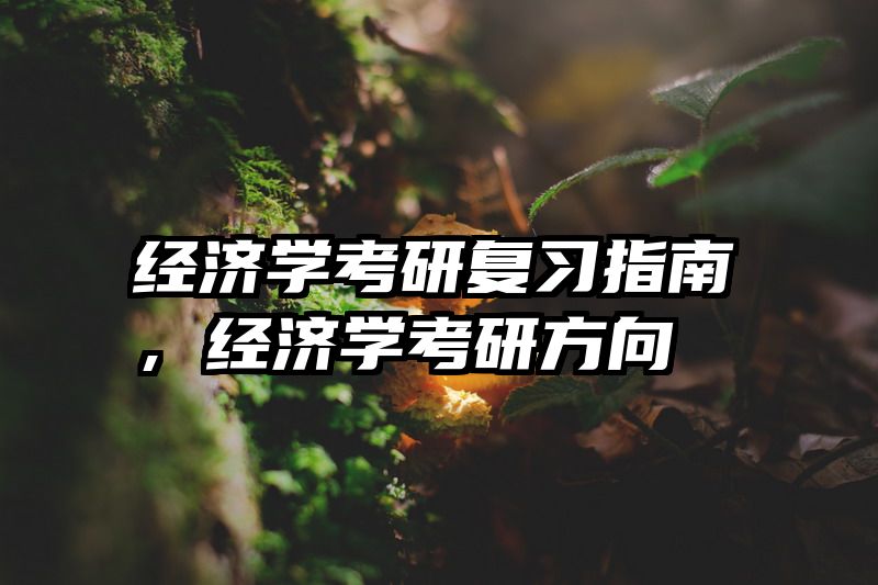 经济学考研复习指南，经济学考研方向
