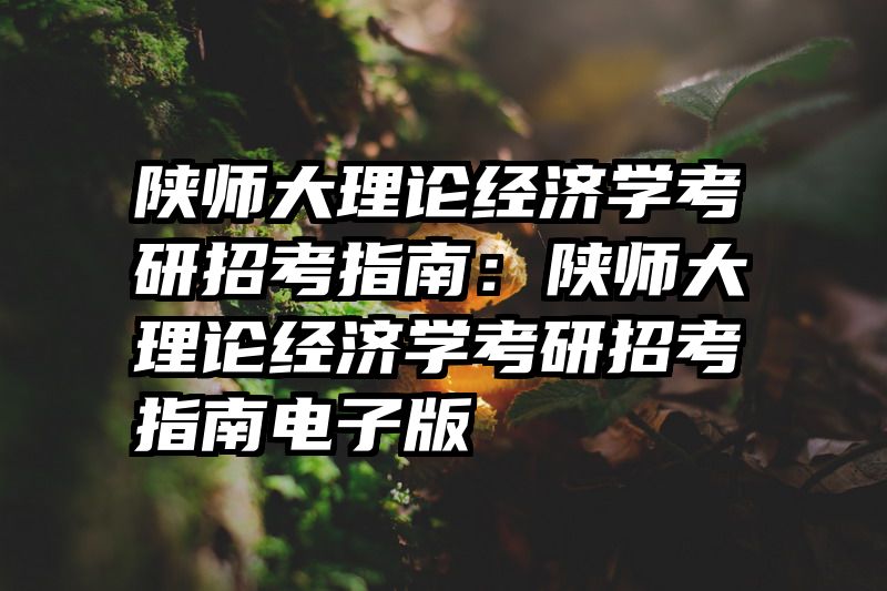 陕师大理论经济学考研招考指南：陕师大理论经济学考研招考指南电子版