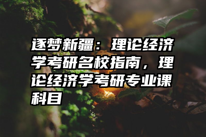 逐梦新疆：理论经济学考研名校指南，理论经济学考研专业课科目