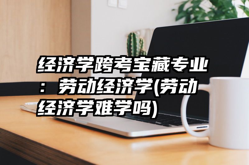 经济学跨考宝藏专业：劳动经济学(劳动经济学难学吗)
