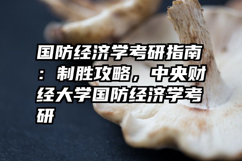 国防经济学考研指南：制胜攻略，中央财经大学国防经济学考研