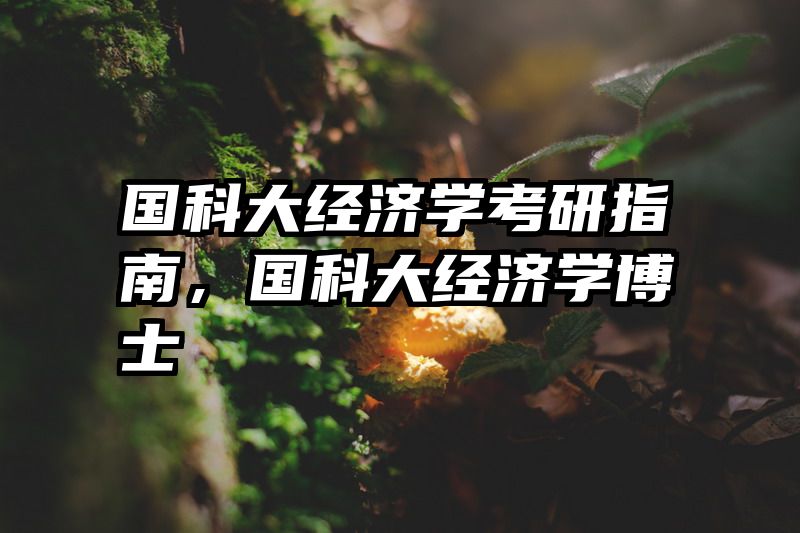 国科大经济学考研指南，国科大经济学博士