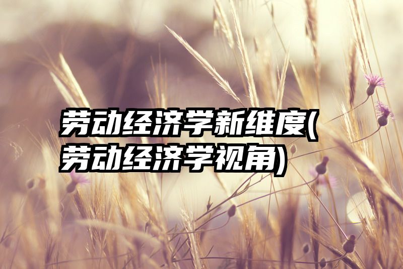 劳动经济学新维度(劳动经济学视角)