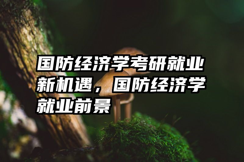 国防经济学考研就业新机遇，国防经济学就业前景