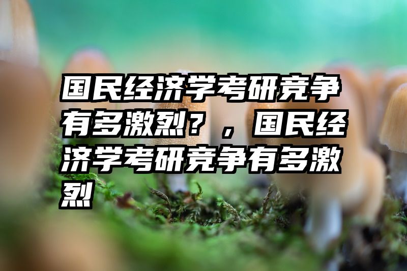 国民经济学考研竞争有多激烈？，国民经济学考研竞争有多激烈