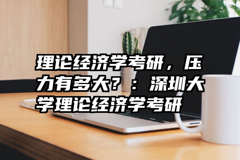 理论经济学考研，压力有多大？：深圳大学理论经济学考研