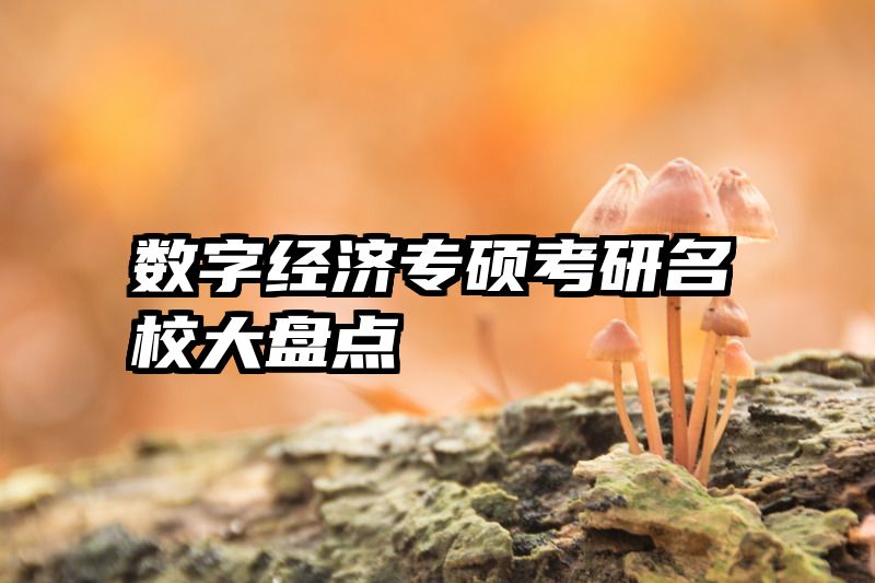 数字经济专硕考研名校大盘点