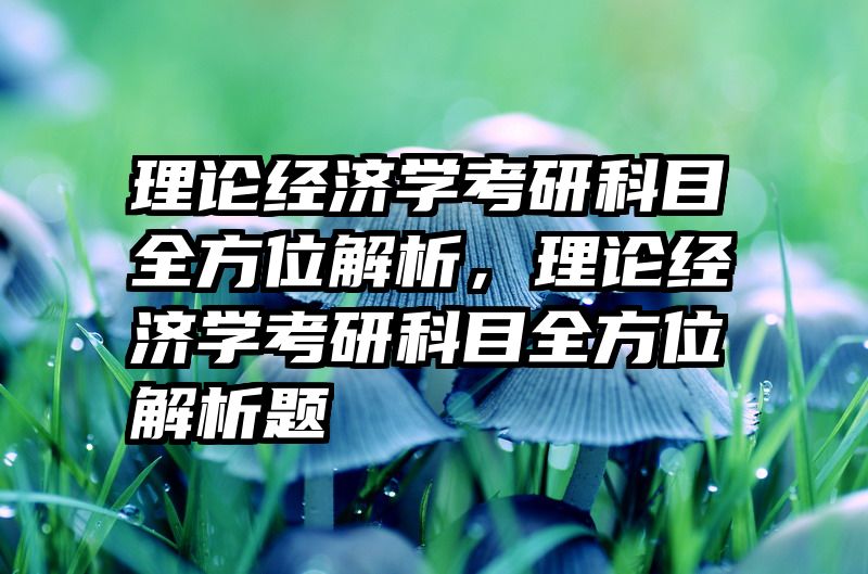 理论经济学考研科目全方位解析，理论经济学考研科目全方位解析题