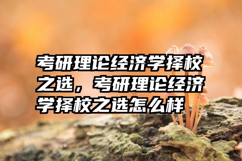 考研理论经济学择校之选，考研理论经济学择校之选怎么样