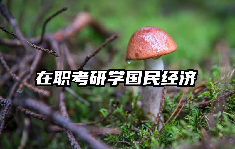 在职考研学国民经济