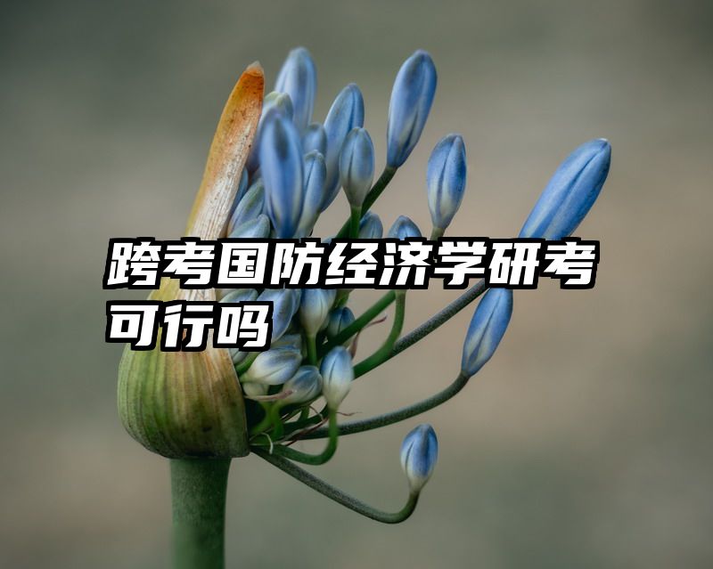跨考国防经济学研考可行吗