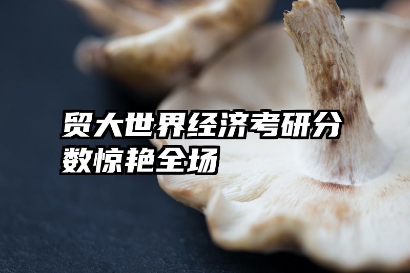 贸大世界经济考研分数惊艳全场