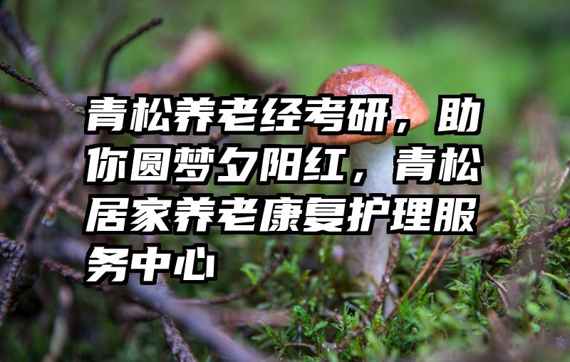 青松养老经考研，助你圆梦夕阳红，青松居家养老康复护理服务中心
