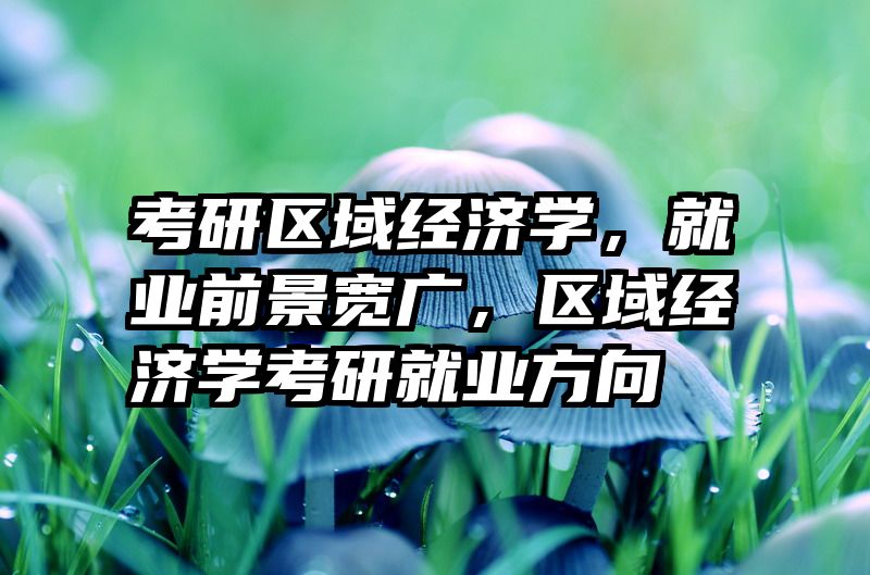 考研区域经济学，就业前景宽广，区域经济学考研就业方向