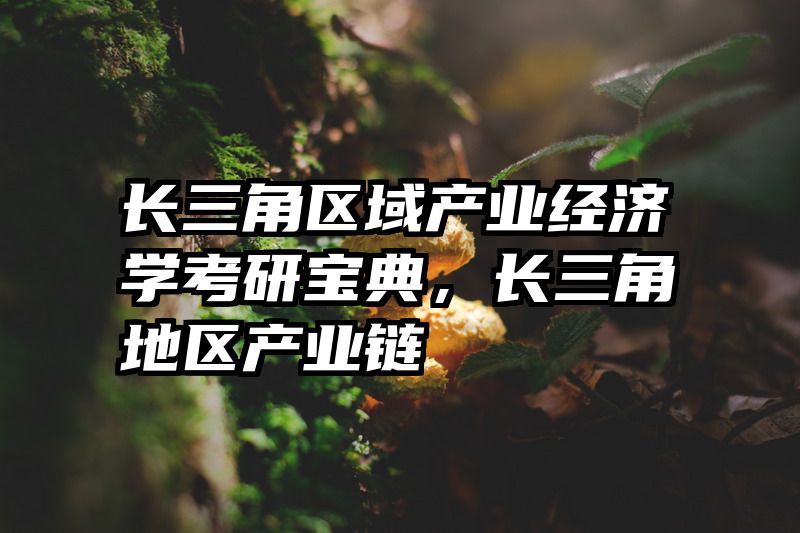 长三角区域产业经济学考研宝典，长三角地区产业链