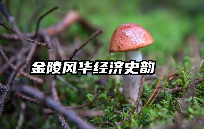 金陵风华经济史韵