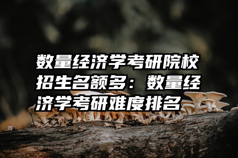 数量经济学考研院校招生名额多：数量经济学考研难度排名