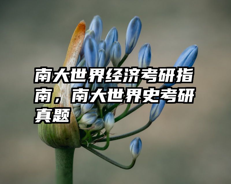 南大世界经济考研指南，南大世界史考研真题
