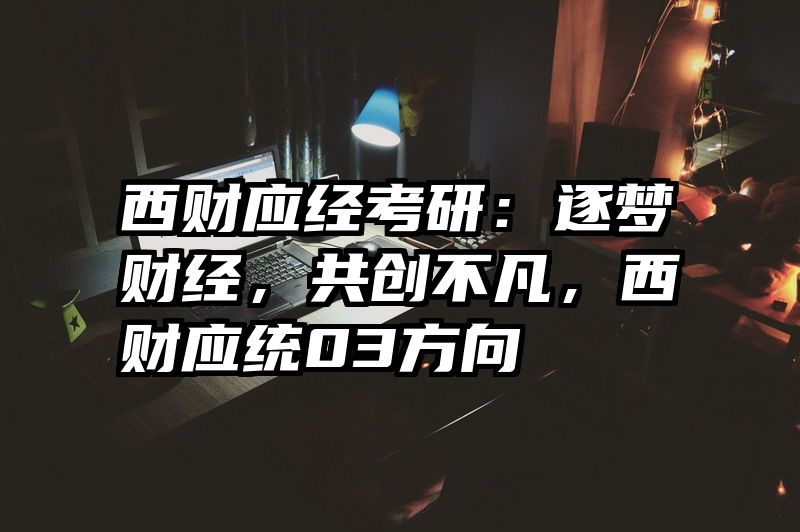 西财应经考研：逐梦财经，共创不凡，西财应统03方向
