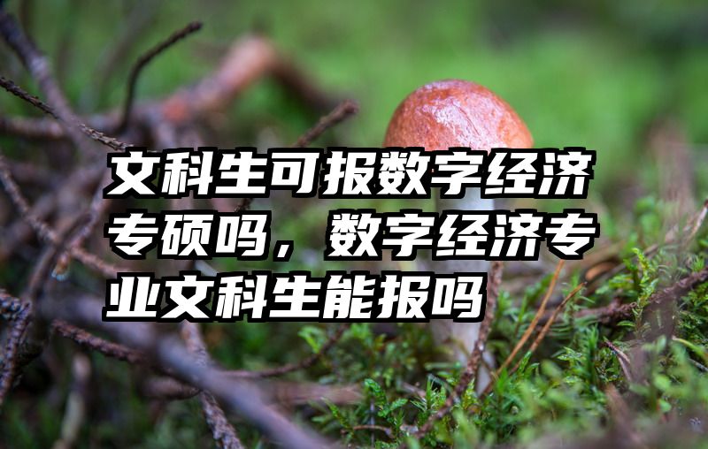 文科生可报数字经济专硕吗，数字经济专业文科生能报吗