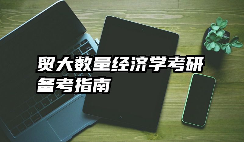 贸大数量经济学考研备考指南