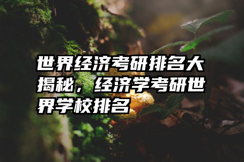 世界经济考研排名大揭秘，经济学考研世界学校排名