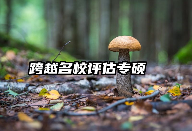 跨越名校评估专硕
