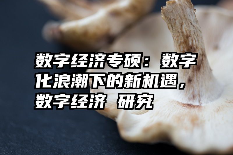 数字经济专硕：数字化浪潮下的新机遇，数字经济 研究