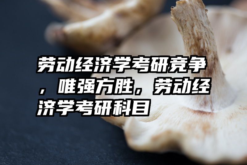 劳动经济学考研竞争，唯强方胜，劳动经济学考研科目