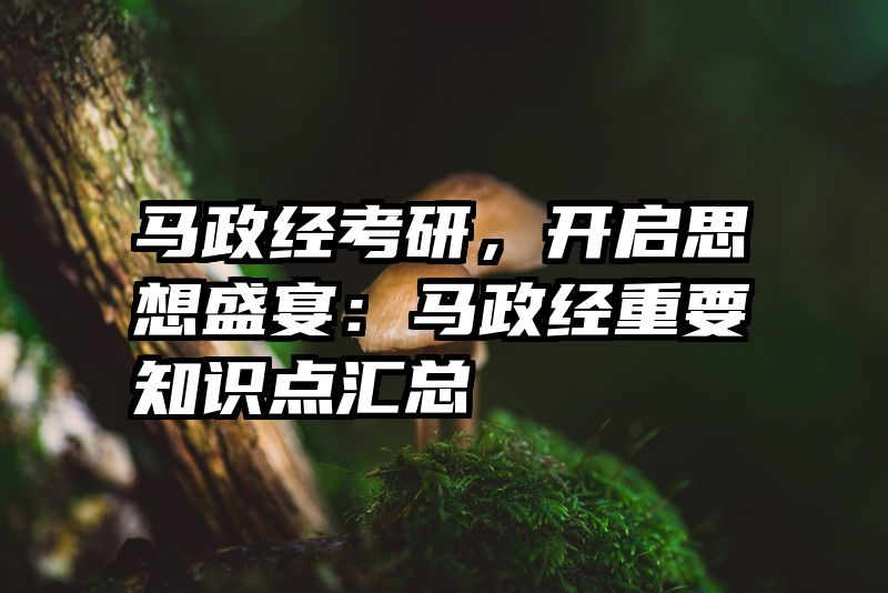 马政经考研，开启思想盛宴：马政经重要知识点汇总