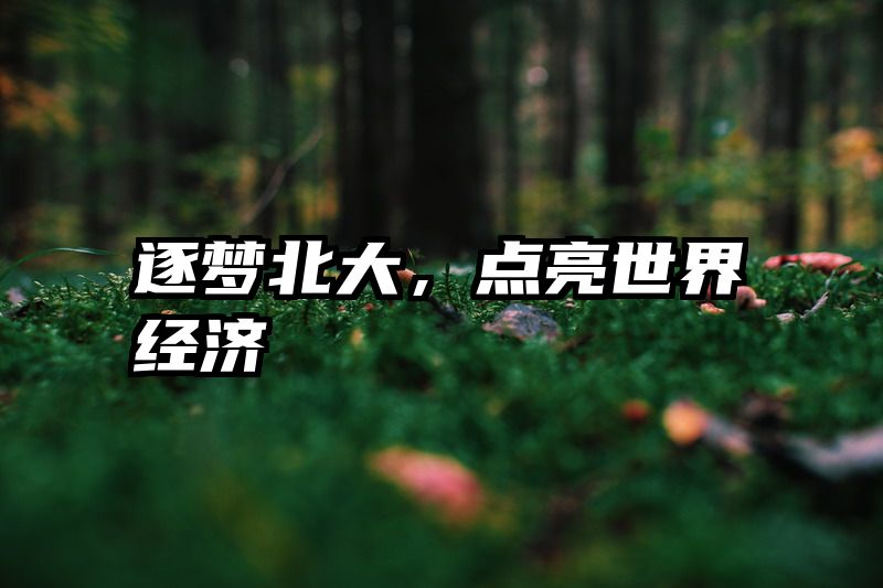 逐梦北大，点亮世界经济