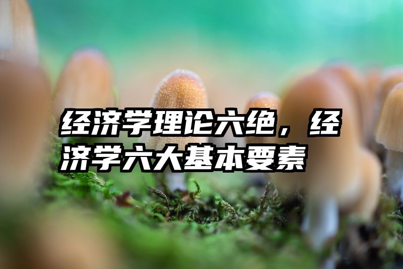 经济学理论六绝，经济学六大基本要素