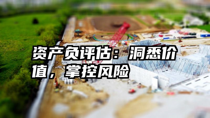 资产负评估：洞悉价值，掌控风险