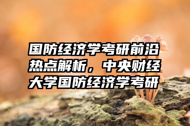 国防经济学考研前沿热点解析，中央财经大学国防经济学考研