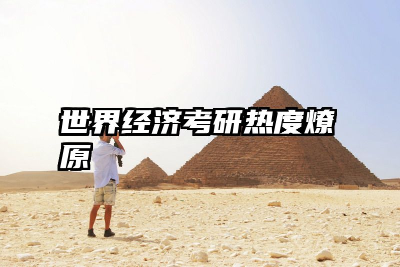 世界经济考研热度燎原