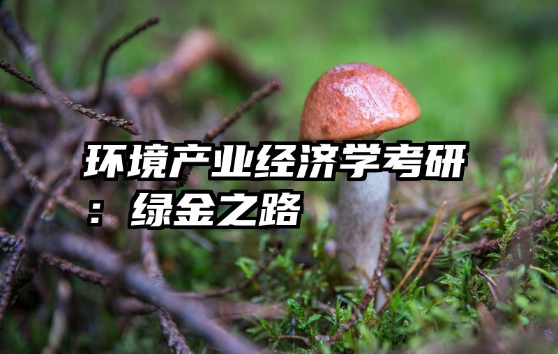环境产业经济学考研：绿金之路