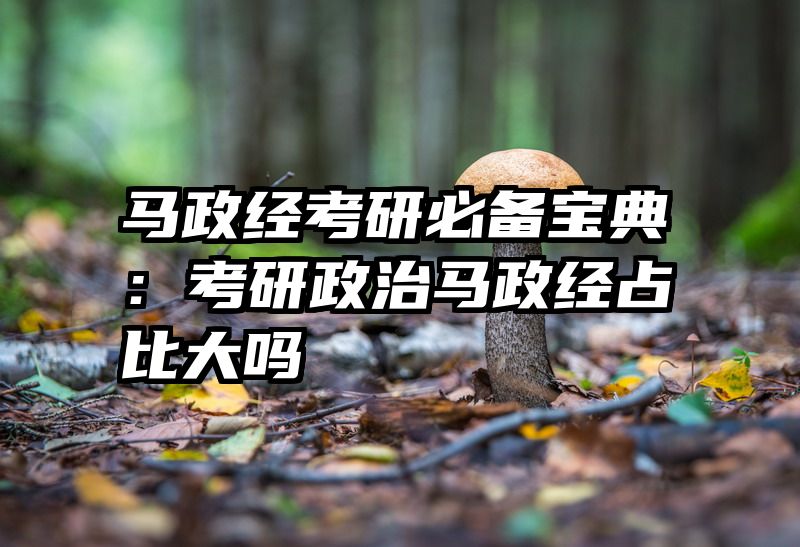 马政经考研必备宝典：考研政治马政经占比大吗