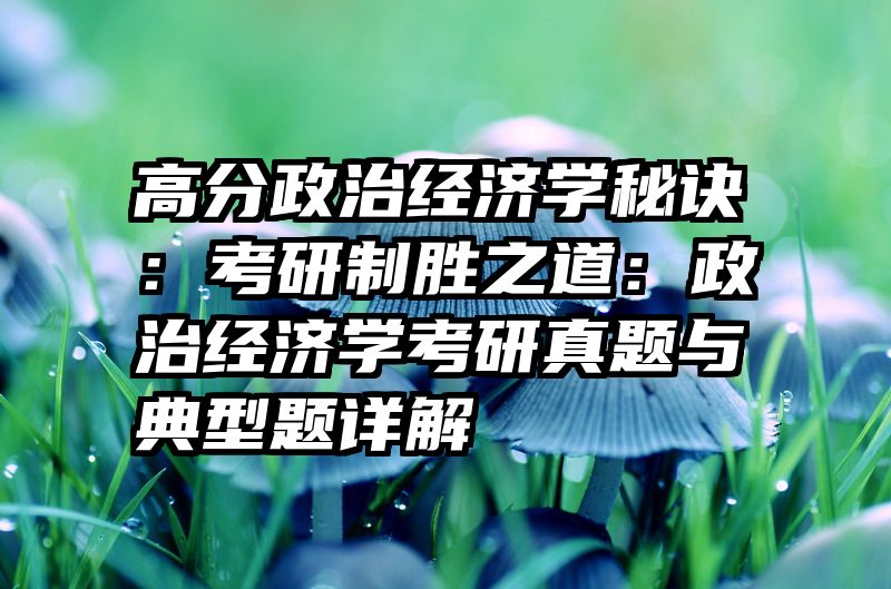 高分政治经济学秘诀：考研制胜之道：政治经济学考研真题与典型题详解