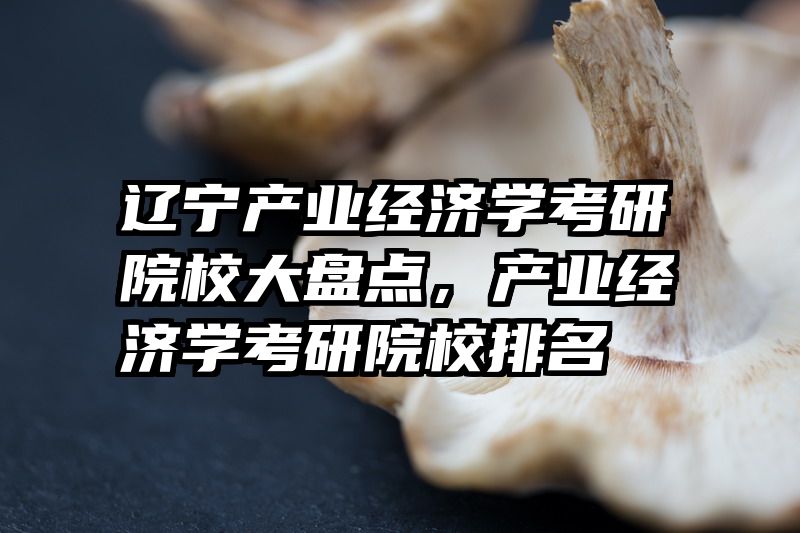 辽宁产业经济学考研院校大盘点，产业经济学考研院校排名