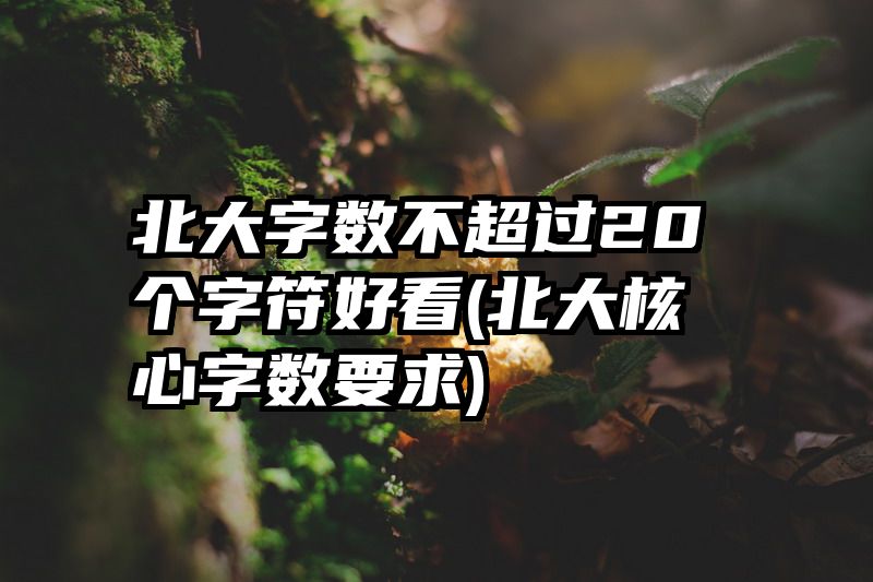 北大字数不超过20个字符好看(北大核心字数要求)