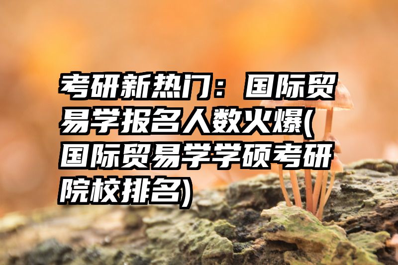 考研新热门：国际贸易学报名人数火爆(国际贸易学学硕考研院校排名)