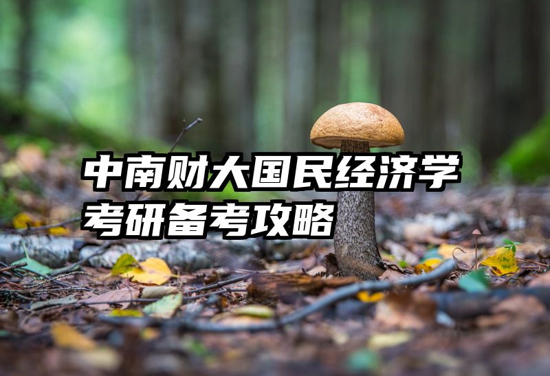 中南财大国民经济学考研备考攻略