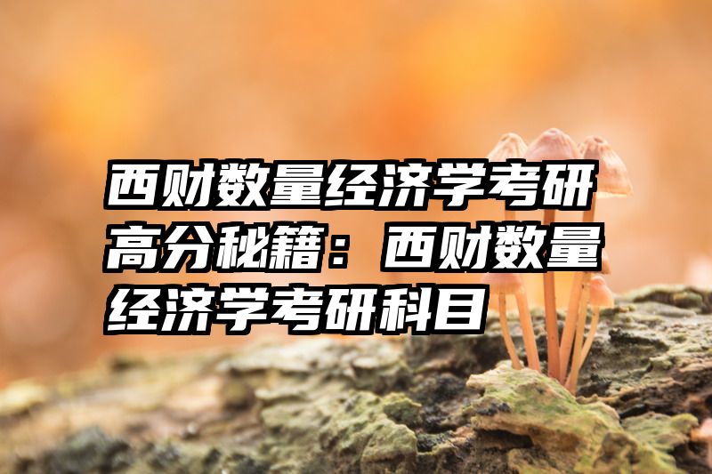 西财数量经济学考研高分秘籍：西财数量经济学考研科目