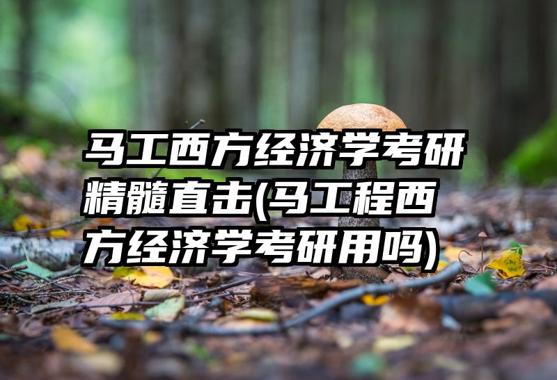 马工西方经济学考研精髓直击(马工程西方经济学考研用吗)