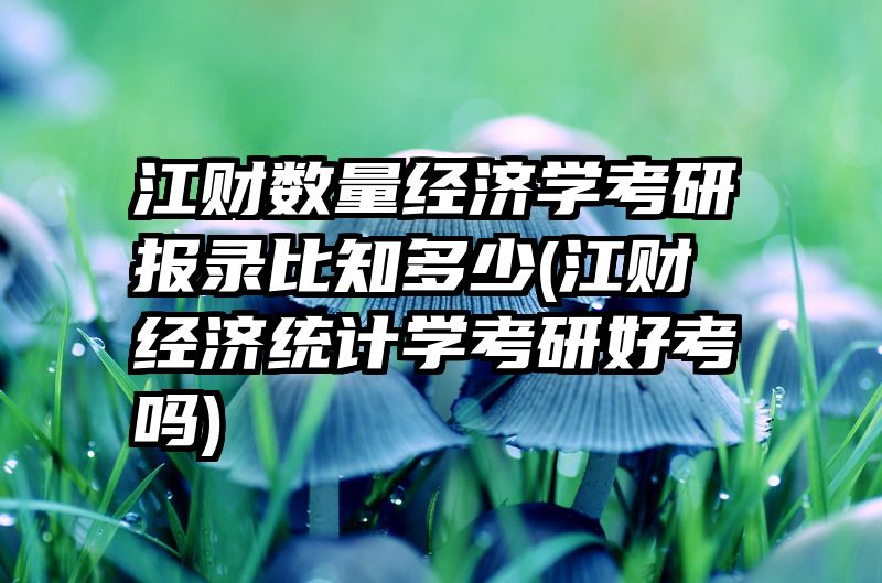 江财数量经济学考研报录比知多少(江财经济统计学考研好考吗)