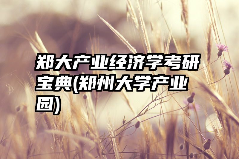 郑大产业经济学考研宝典(郑州大学产业园)
