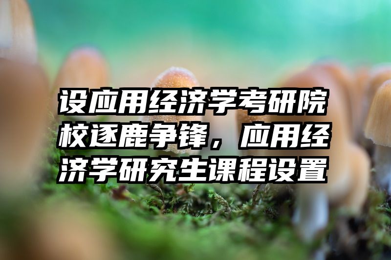 设应用经济学考研院校逐鹿争锋，应用经济学研究生课程设置
