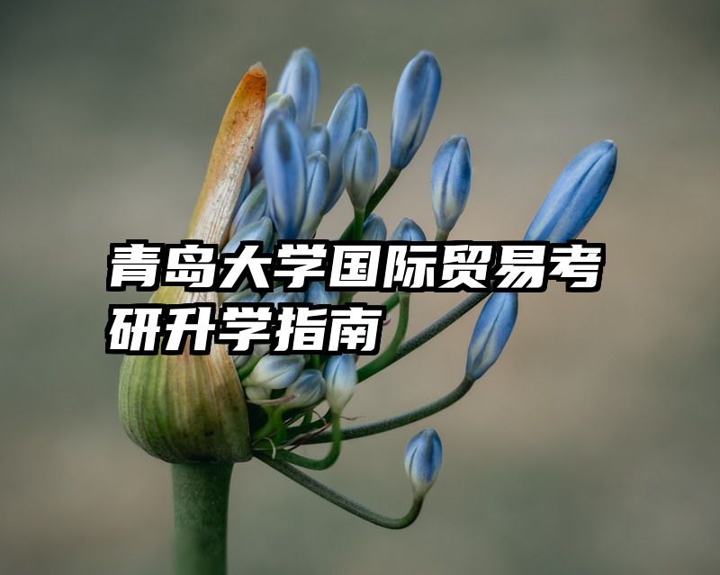 青岛大学国际贸易考研升学指南