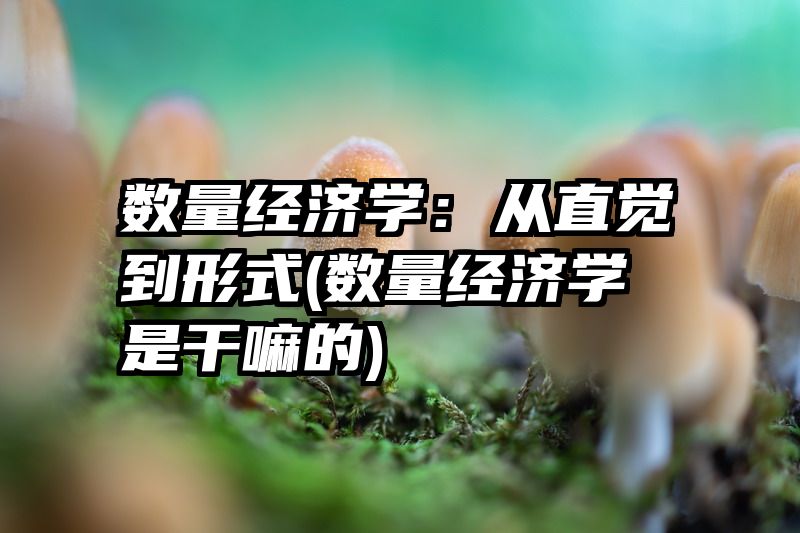 数量经济学：从直觉到形式(数量经济学是干嘛的)